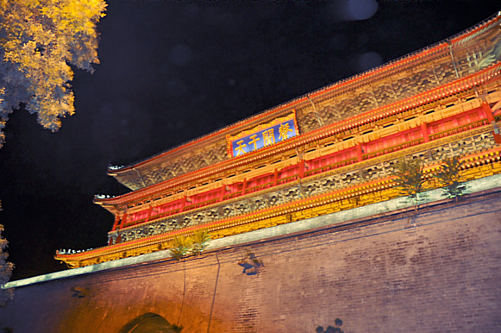 dsc_0015.jpg