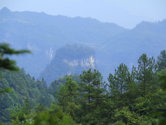 _mg_7711.jpg