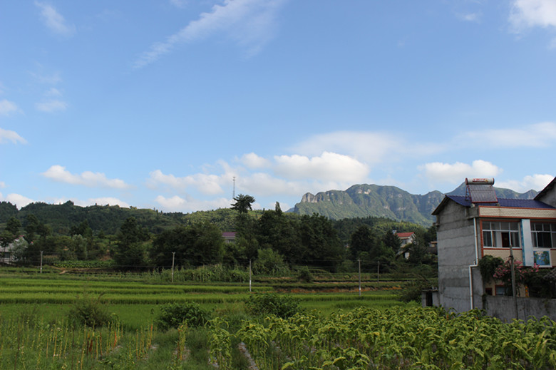 北纬30度百溪河-北溪河 267_副本.jpg