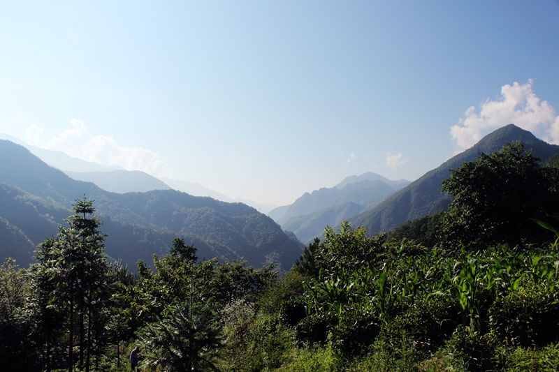 img_4123.jpg