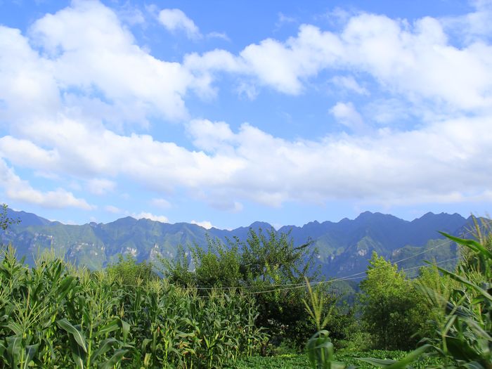 _mg_7619.jpg
