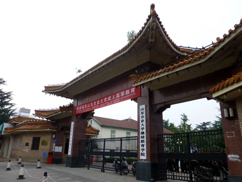p1110724.jpg