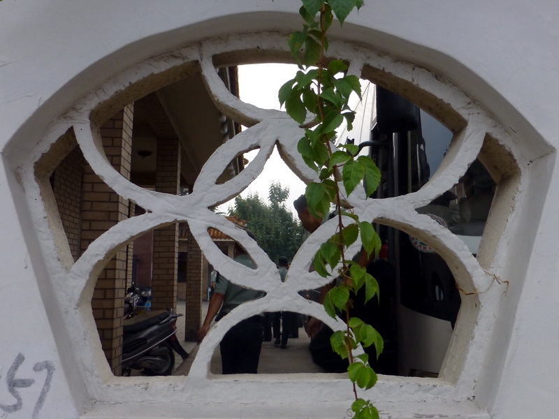 p1110723.jpg