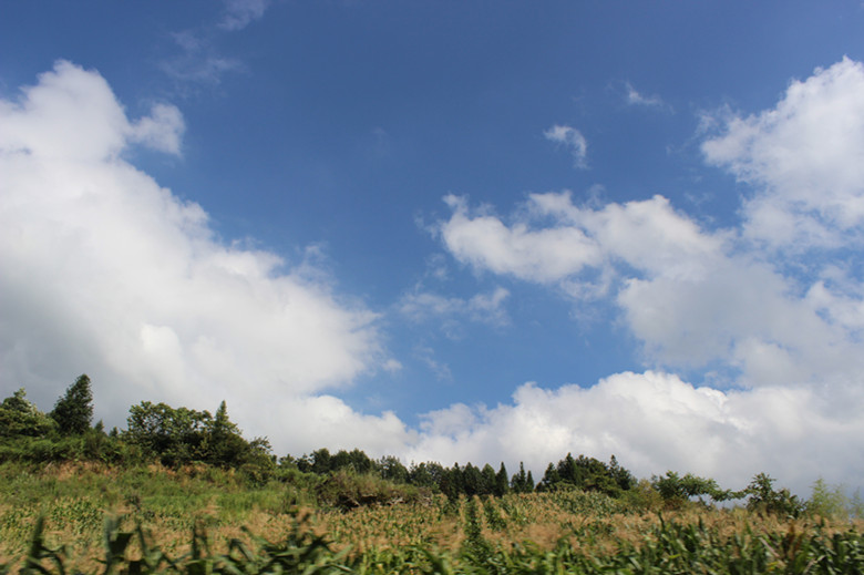 北纬30度百溪河-北溪河 284_副本.jpg