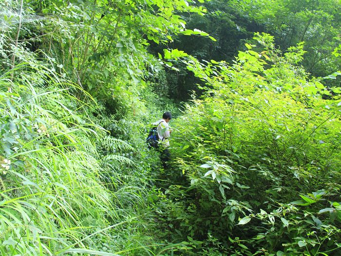 _mg_7739.jpg