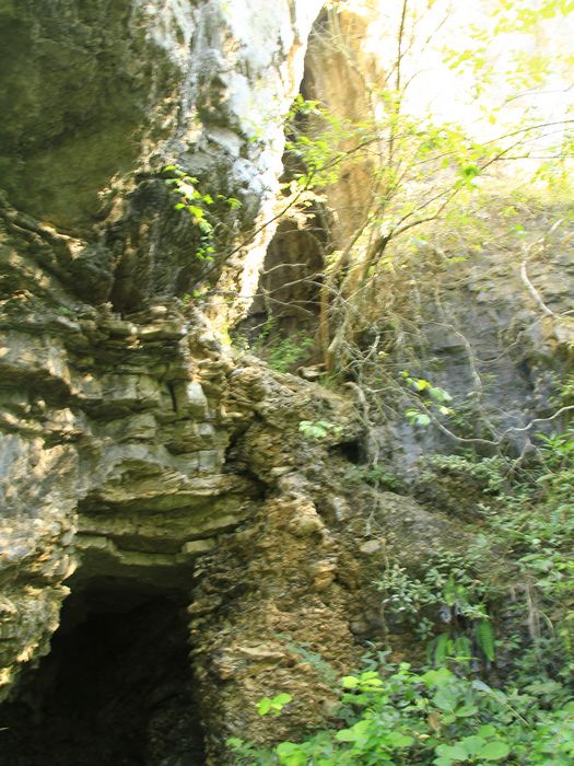 _mg_7744.jpg