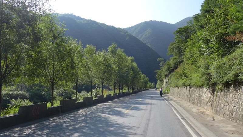 p1150119.jpg