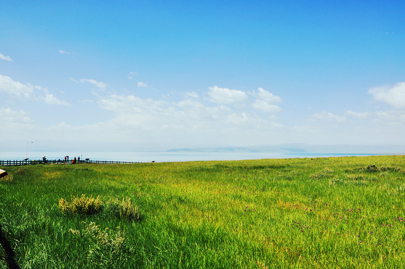 dsc_0546_副本.jpg