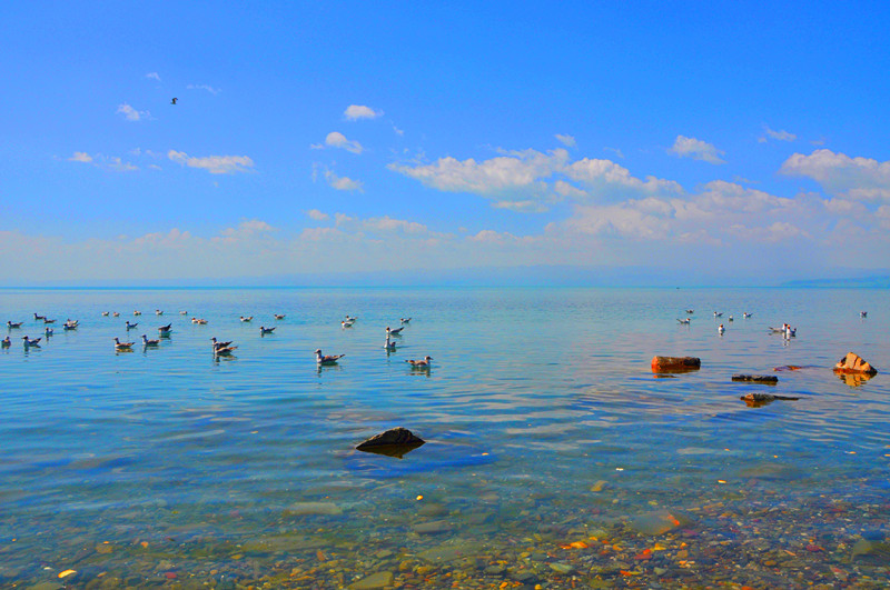 dsc_0547_副本.jpg