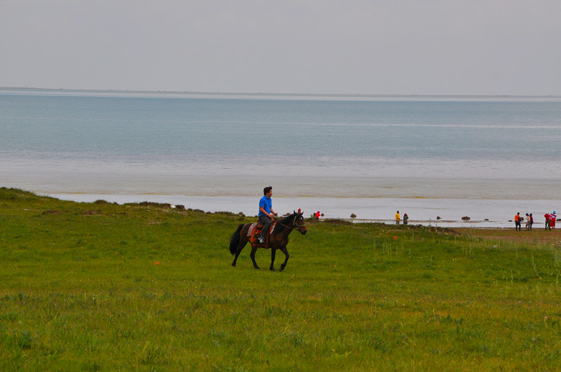 dsc_0565_.jpg
