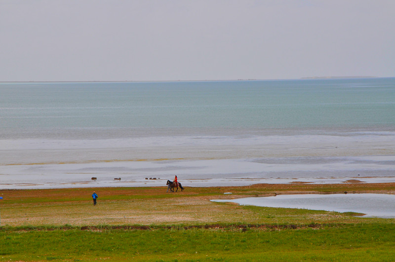 dsc_0577_.jpg