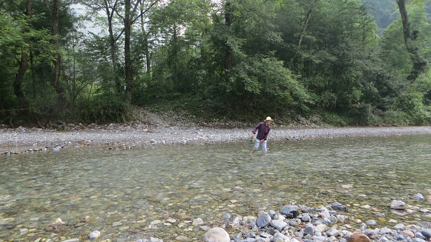 90.jpg