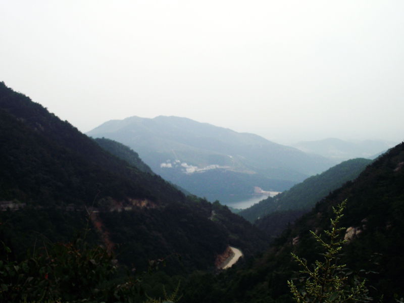 dscf0080.jpg