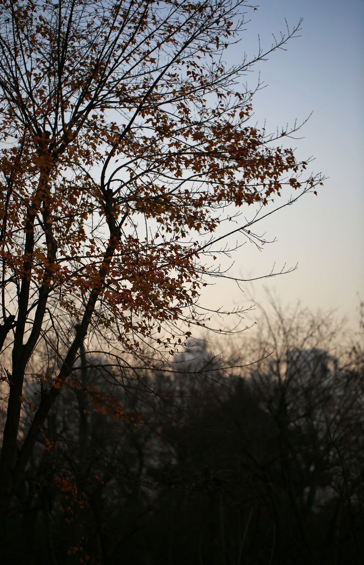 3C1A8090.JPG