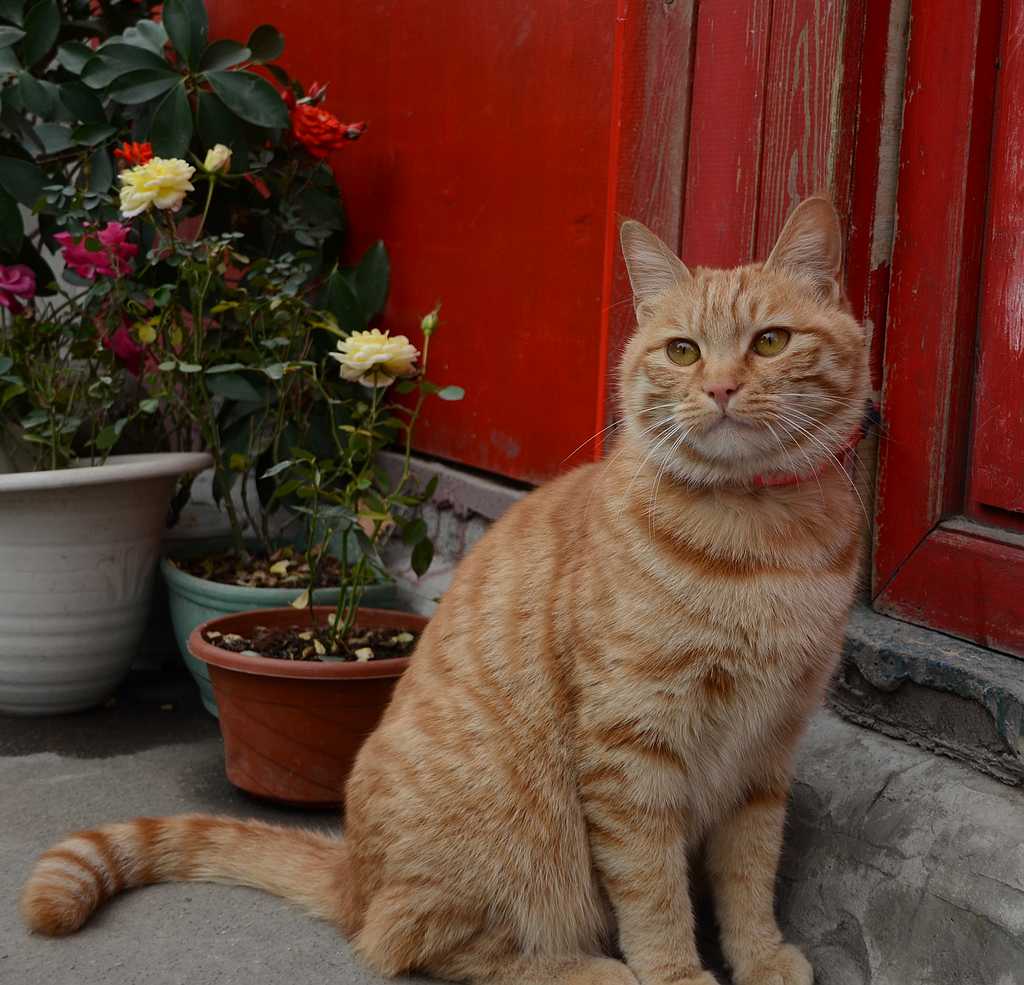 DSC_4290.jpg