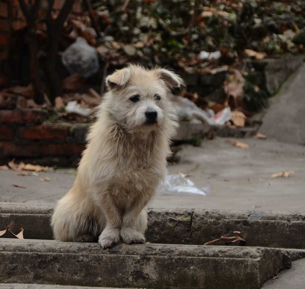 DSC_4281.jpg