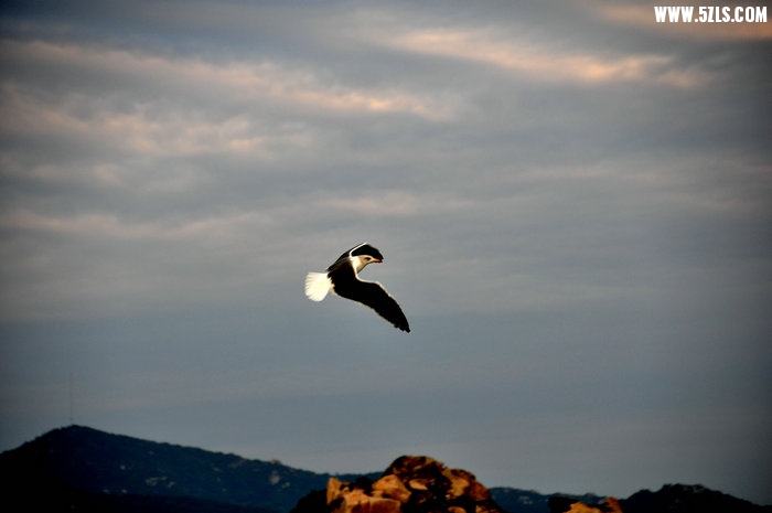DSC_0438.JPG