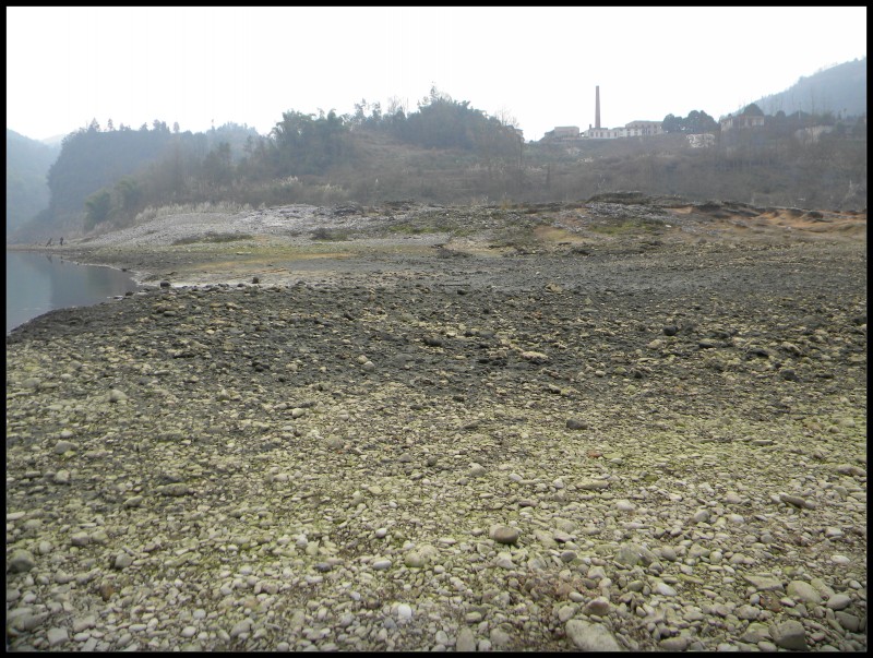 conew_Ƭ 023.jpg