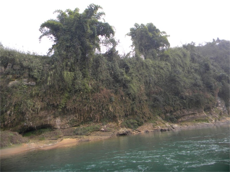 conew_Ƭ 030.jpg
