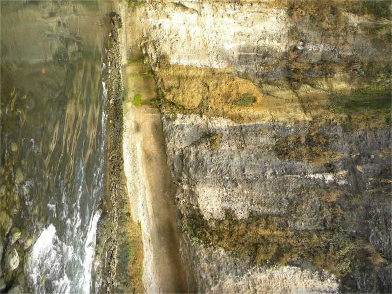 conew_Ƭ 044.jpg