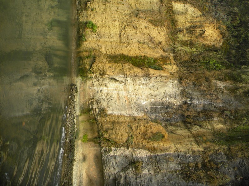 conew_Ƭ 045.jpg