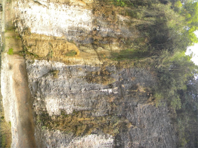 conew_Ƭ 043.jpg