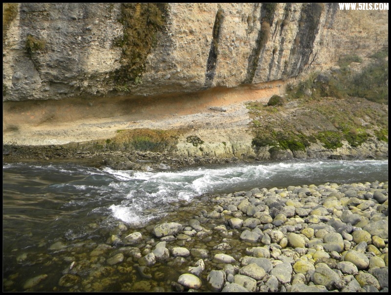 conew_Ƭ 046.jpg