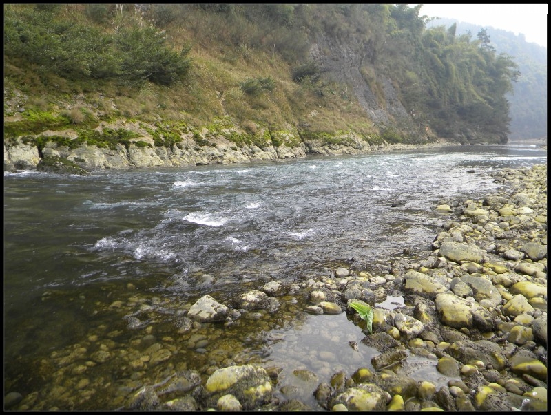 conew_Ƭ 053.jpg