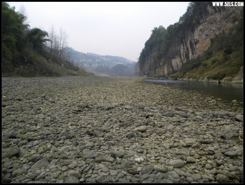 conew_Ƭ 056.jpg