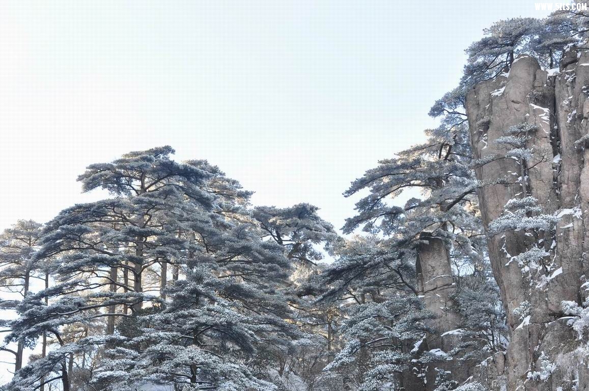 С DSC_0123.JPG
