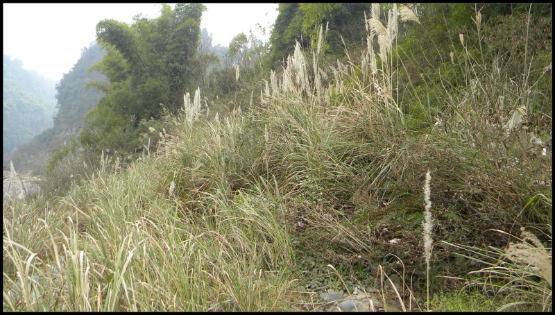 conew_Ƭ 063.jpg