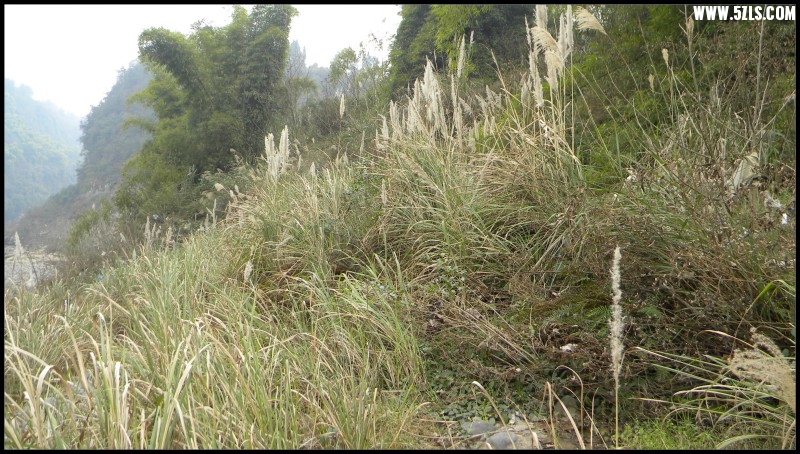 conew_Ƭ 063.jpg
