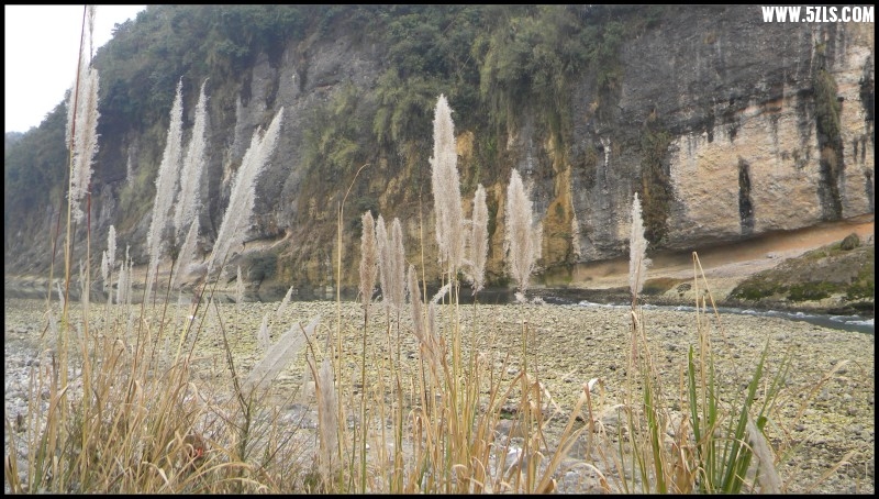 conew_Ƭ 064.jpg