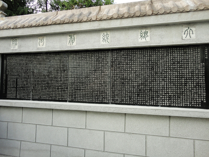 DSC00803.JPG