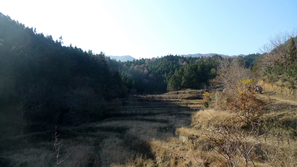 2011121222395727976.jpg