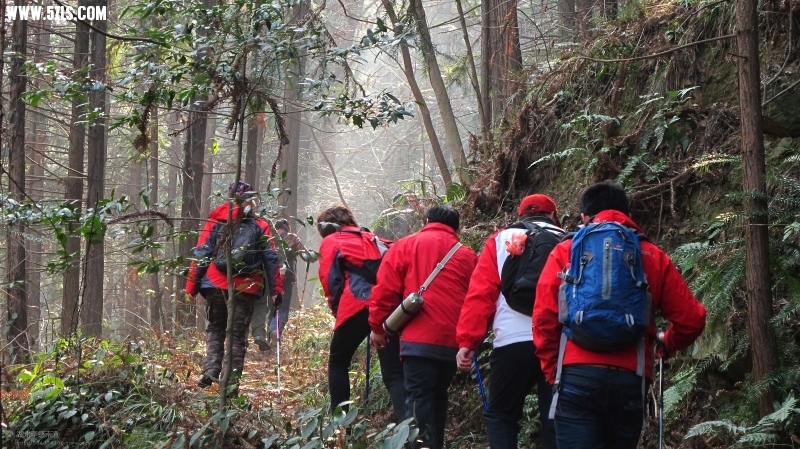 52_282688_029ff95b9d0f537.jpg