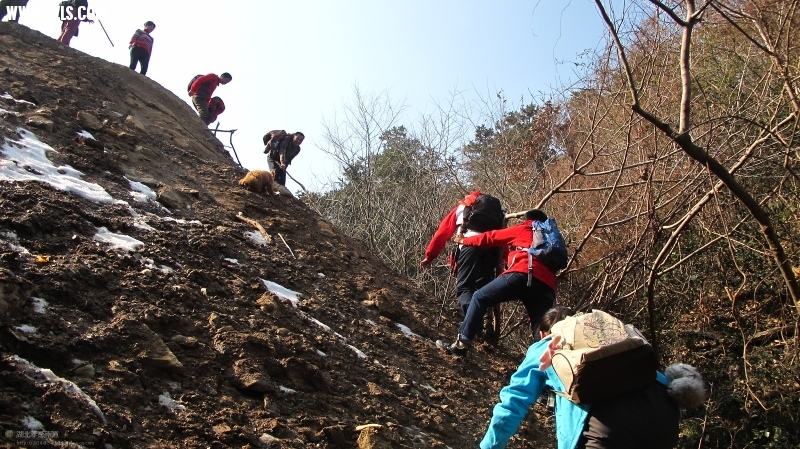 52_282688_ac93c6f2b88cb79.jpg