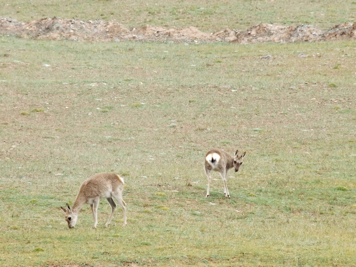 DSCF3332.jpg