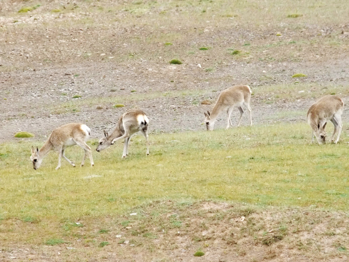 DSCF3341.jpg