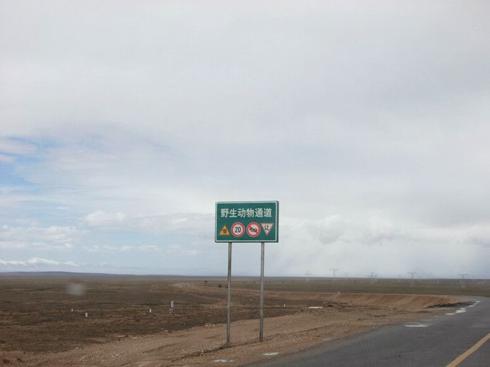DSCF3358.jpg