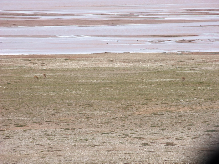 DSCF3368.jpg