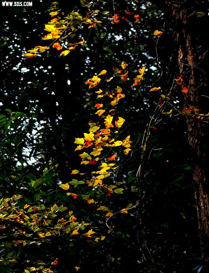 DSC_0066.jpg