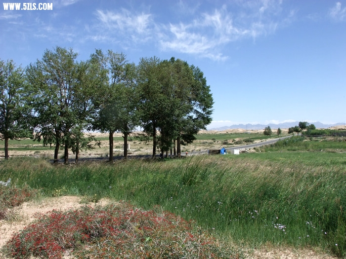 DSCF3714.JPG