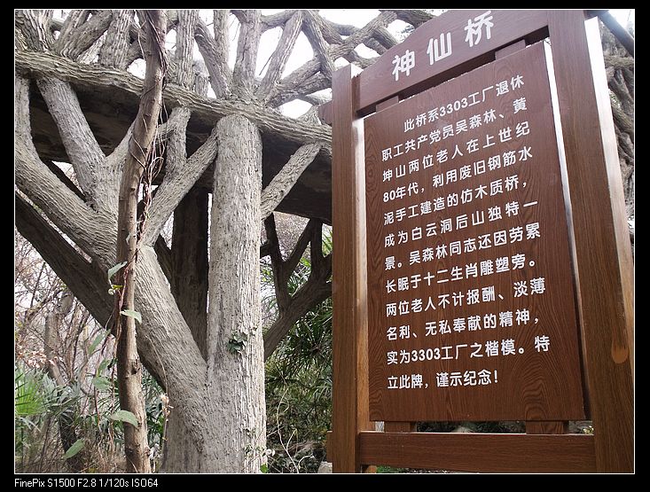 DSCF3352.jpg
