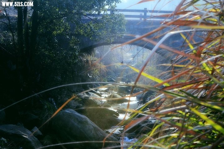 _MG_0842.JPG