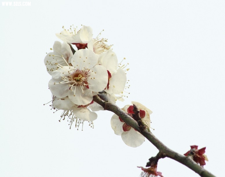 QQͼƬ20130212193431.jpg