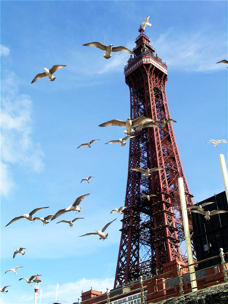 1DSCN0057.jpg