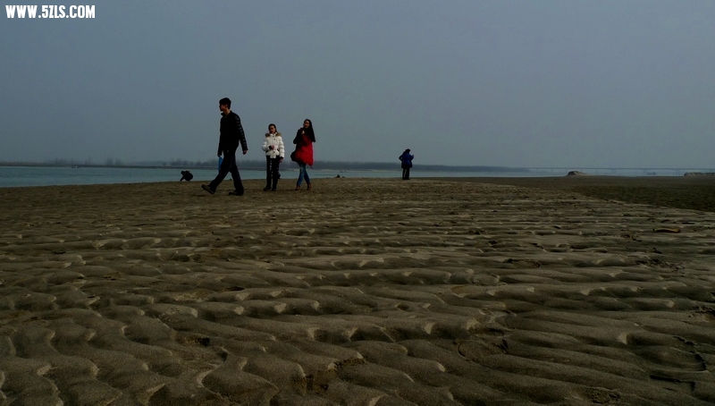 P1410827.jpg
