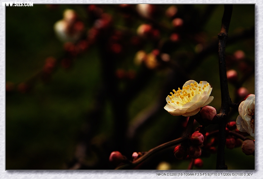 DSC_3167.jpg