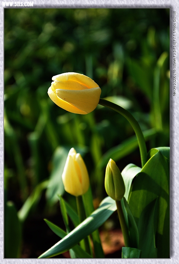 DSC_2851.jpg